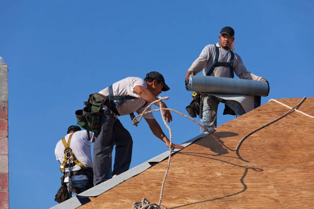 Best New Roof Installation  in San Lorenzo, CA